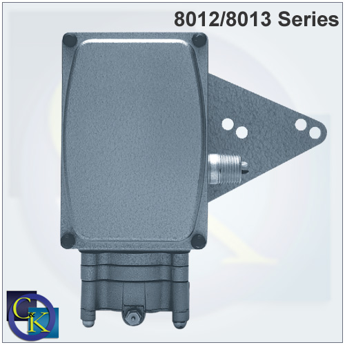 8012/8013 Electro-pneumatic Valve Positioner 8012/8013 Electro-pneumatic Valve Positioner